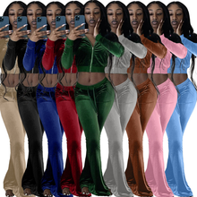 Load image into Gallery viewer, Velvet Pants Set