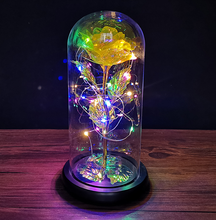 Load image into Gallery viewer, Gold Foil Flower Preserved Flower