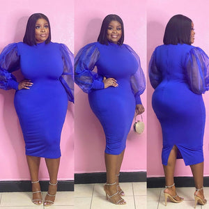 Plus Size Mesh Lantern Sleeve Dress